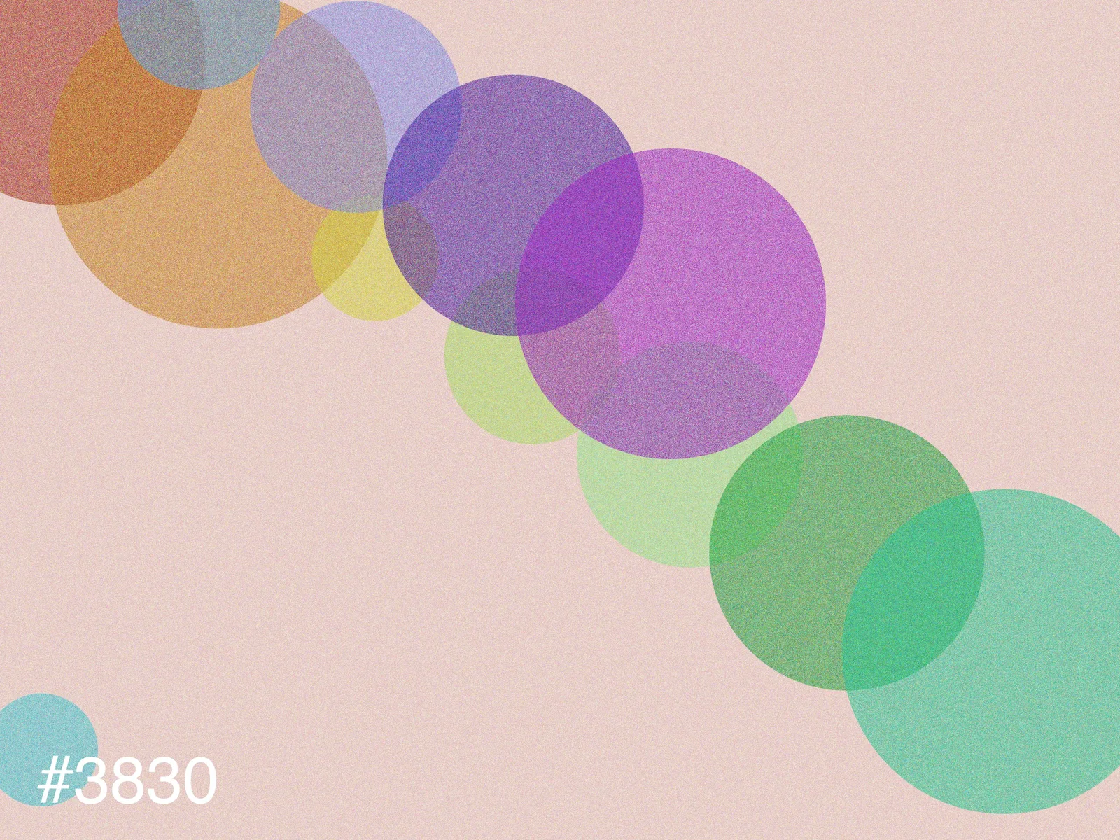 Work 384